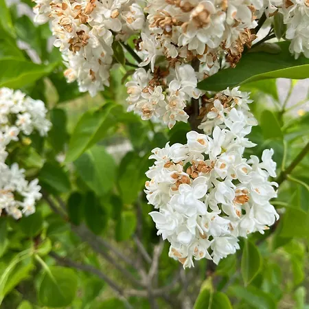 Dom wakacyjny Laba Łeba